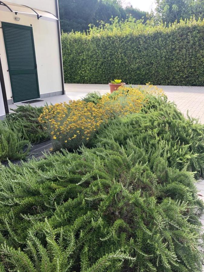 Aparthotel Rta La Pineta Sarzana Zewnętrze zdjęcie